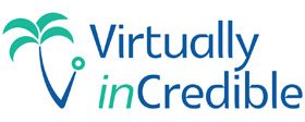 VirtuallyinCredible